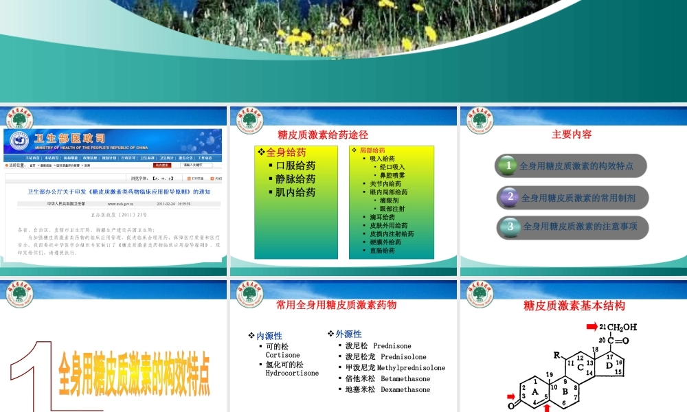 激素医院-黄旭慧.ppt