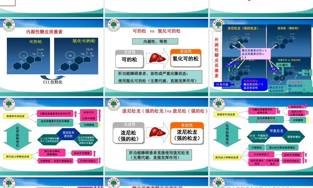 激素医院-黄旭慧.ppt