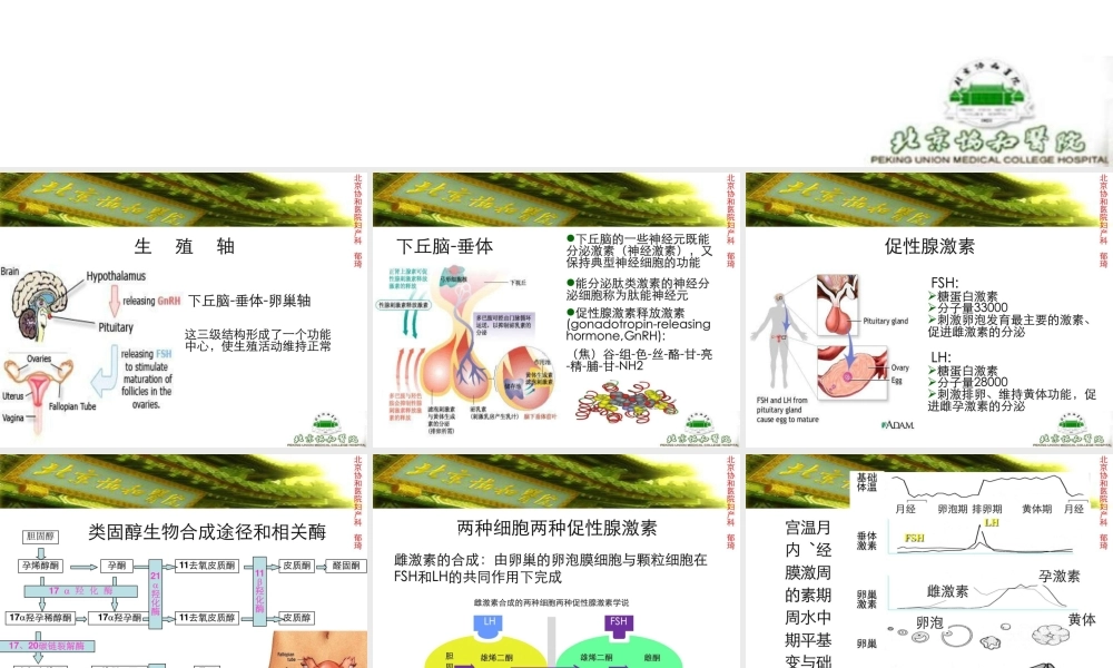 激素测定与妇科内分泌-北京协和郁琦汇总.ppt