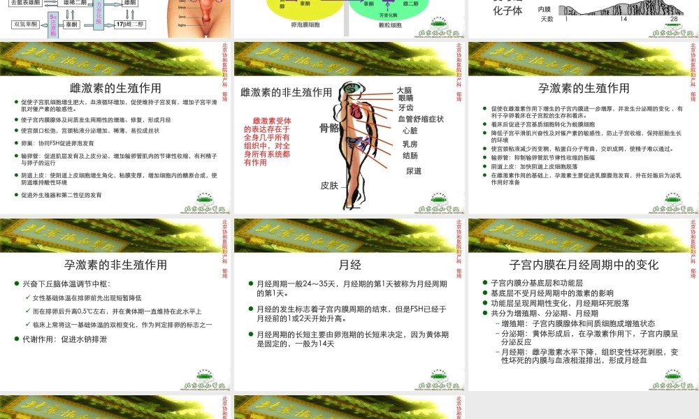 激素测定与妇科内分泌-北京协和郁琦汇总.ppt