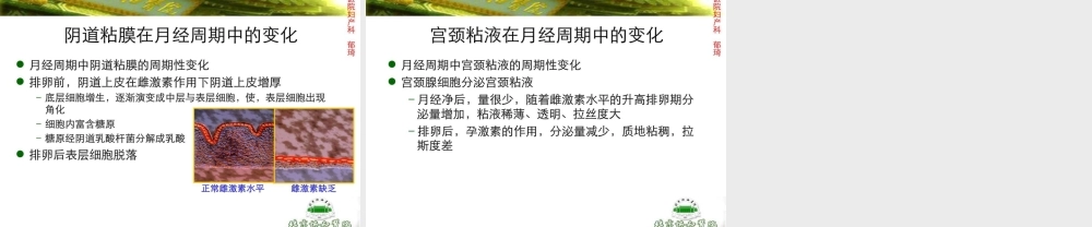 激素测定与妇科内分泌-北京协和郁琦汇总.ppt