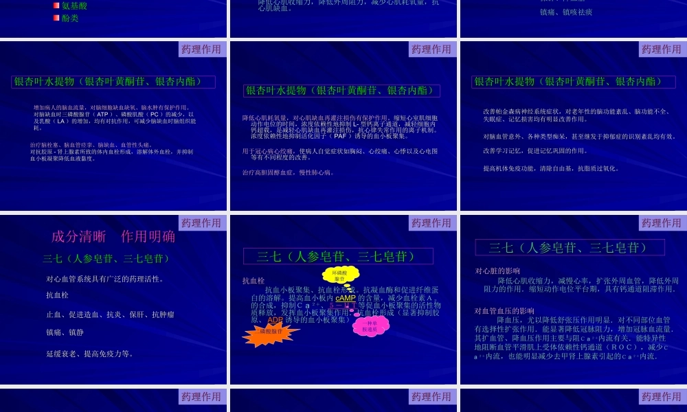 灯银脑通胶囊-全(完整).ppt