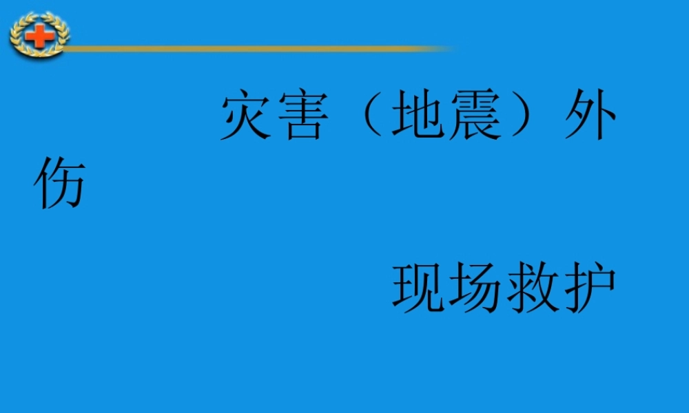 灾害(地震)外伤现场救护.ppt