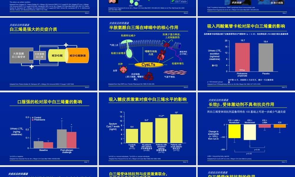 炎症反应双通道幻灯片.ppt