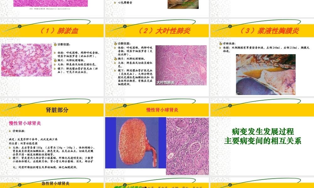 炎症病例讨论1.ppt