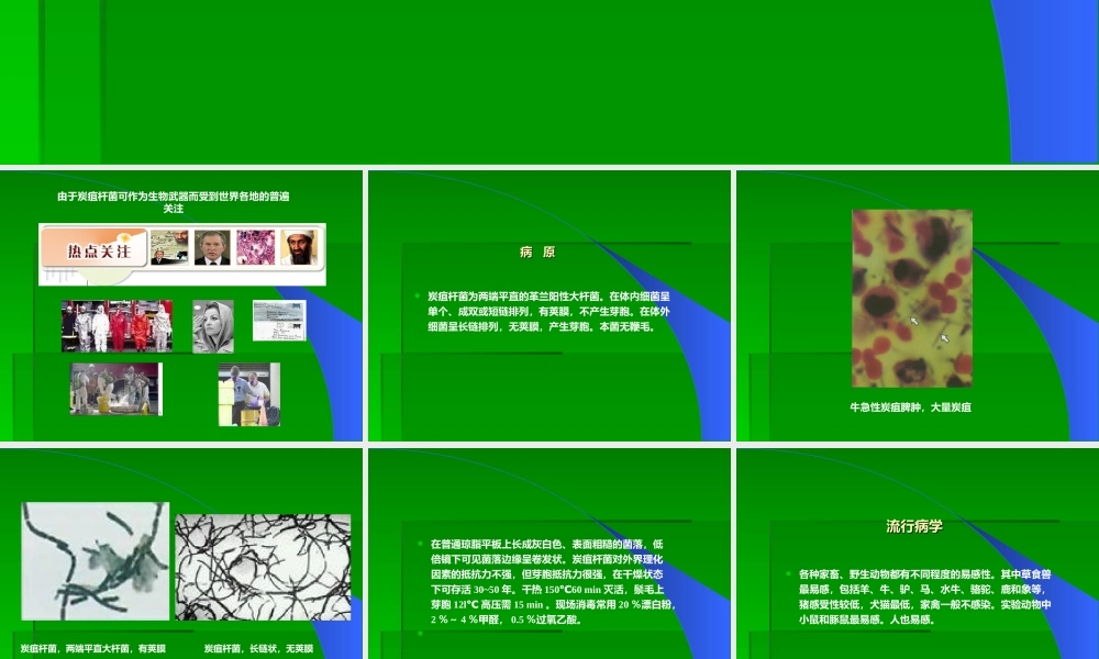 炭疽、布氏杆菌病.ppt
