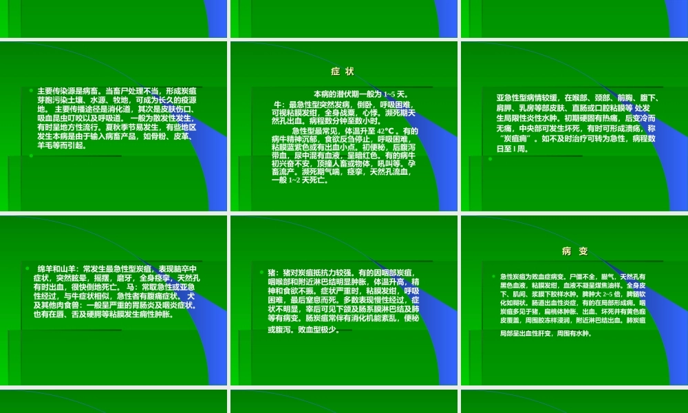 炭疽、布氏杆菌病.ppt