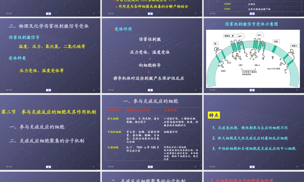 炎症的分子机制.ppt