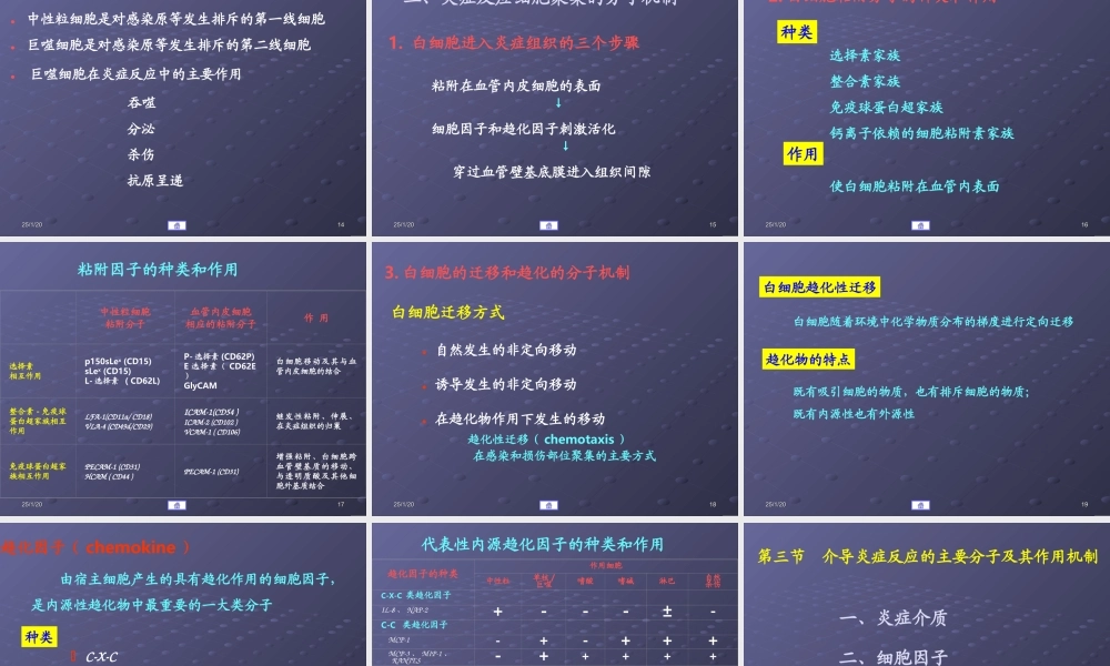 炎症的分子机制.ppt