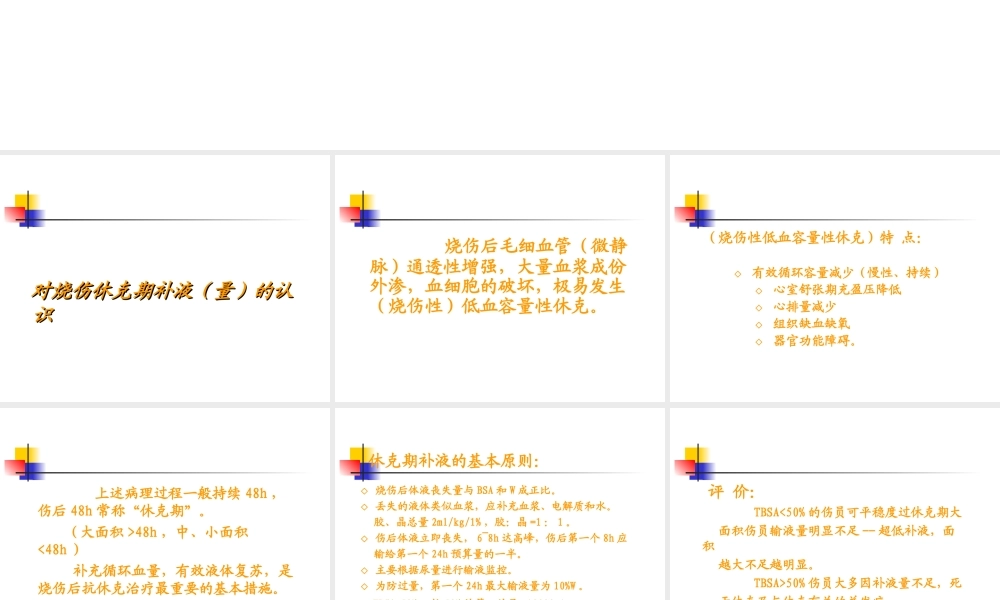 烧伤休克期液体复苏.ppt