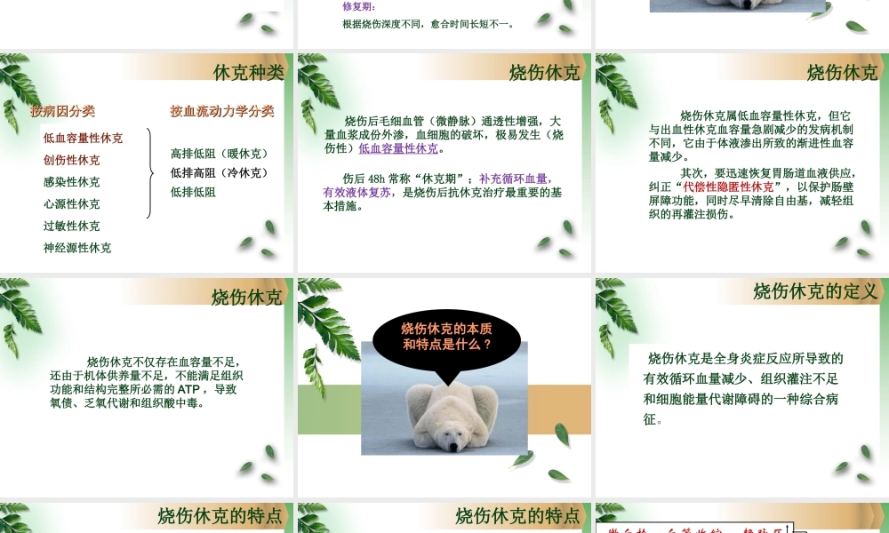 烧伤休克患者早期液体复苏.ppt