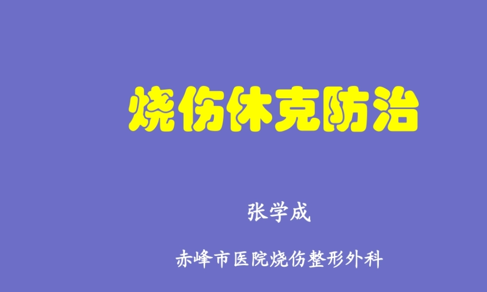 烧伤休克.ppt