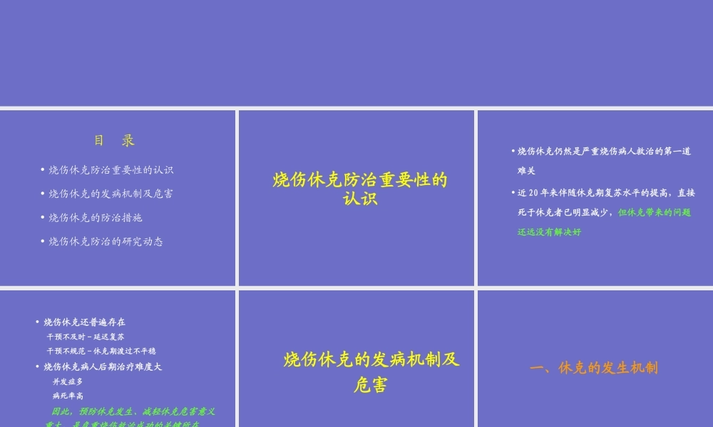 烧伤休克.ppt