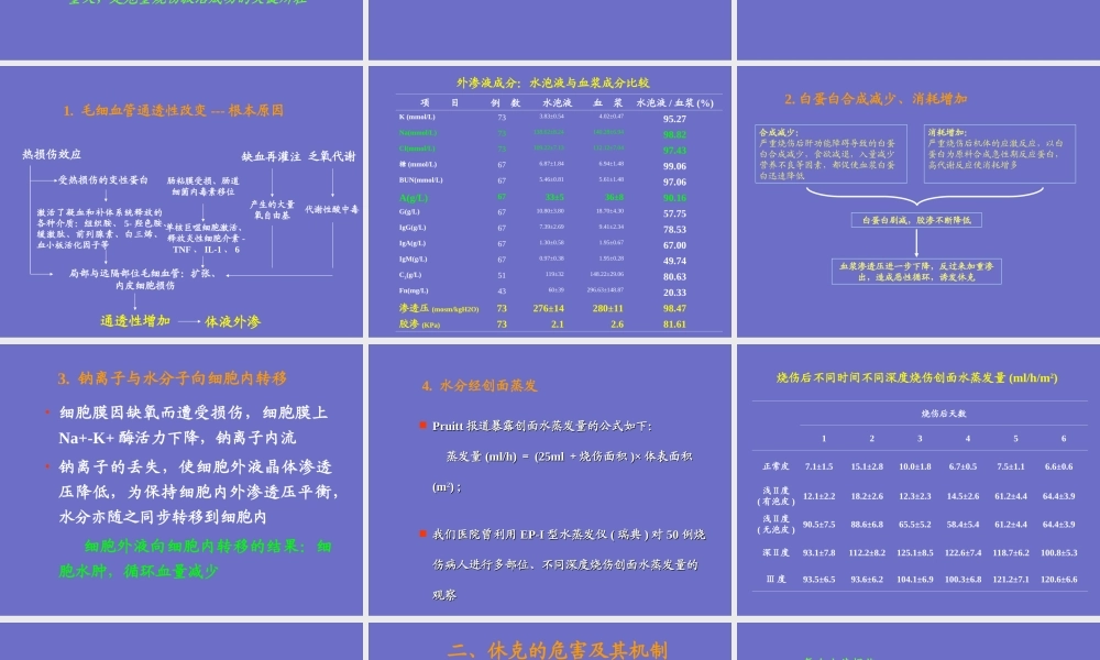 烧伤休克.ppt
