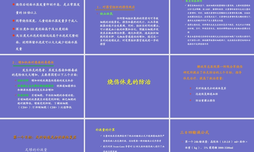 烧伤休克.ppt