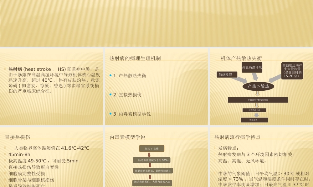 热-射-病-新2.0.pptx