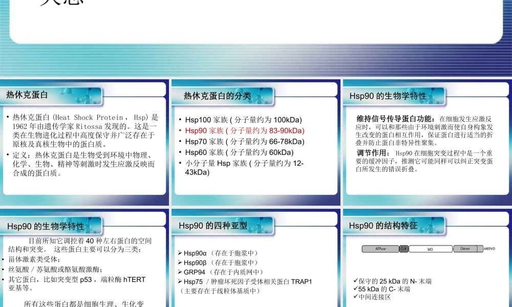 热休克蛋白-HSP90.ppt