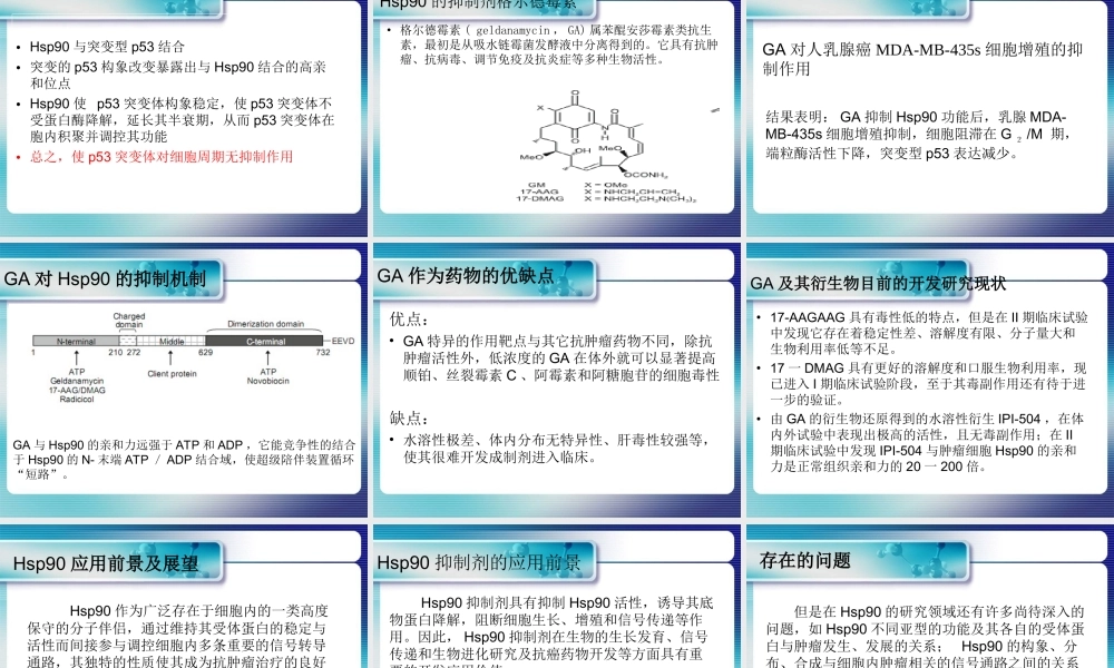 热休克蛋白-HSP90.ppt