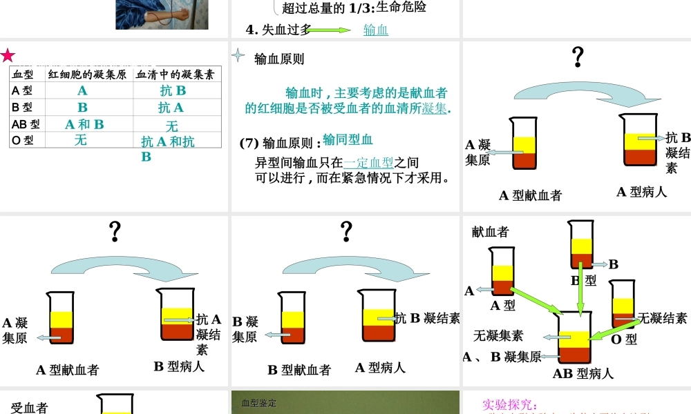 照顾好你身体二血型.ppt