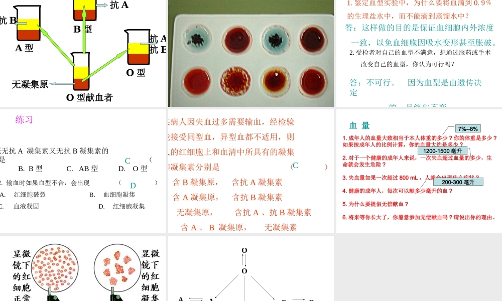 照顾好你身体二血型.ppt
