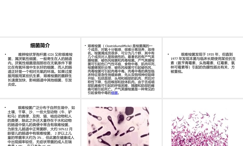爆发性艰难梭菌结肠炎.pptx