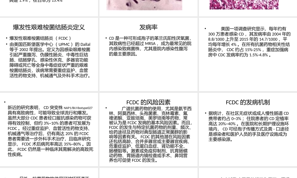 爆发性艰难梭菌结肠炎.pptx