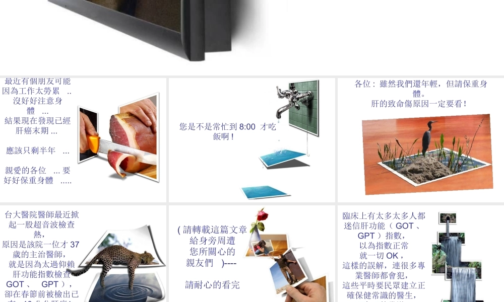 爬上枕头山肝癌新发现概论.ppt