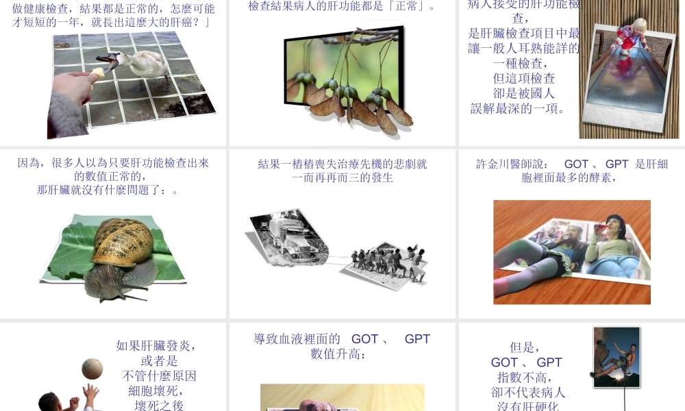 爬上枕头山肝癌新发现概论.ppt