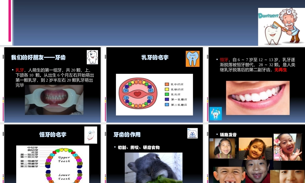 爱护牙齿-从现在做起.pptx