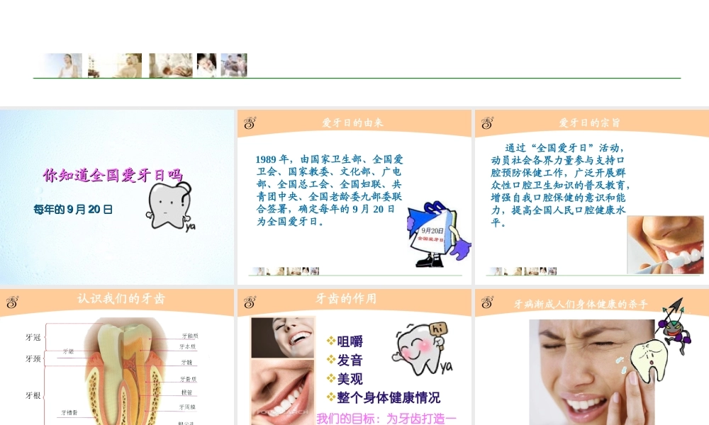 爱牙日PPT.ppt