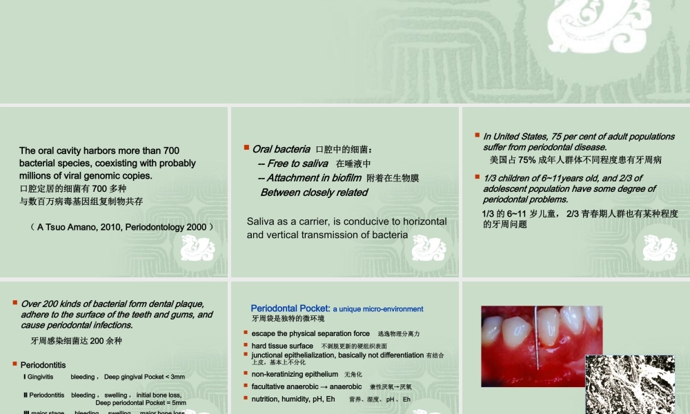 牙周病与免疫.ppt