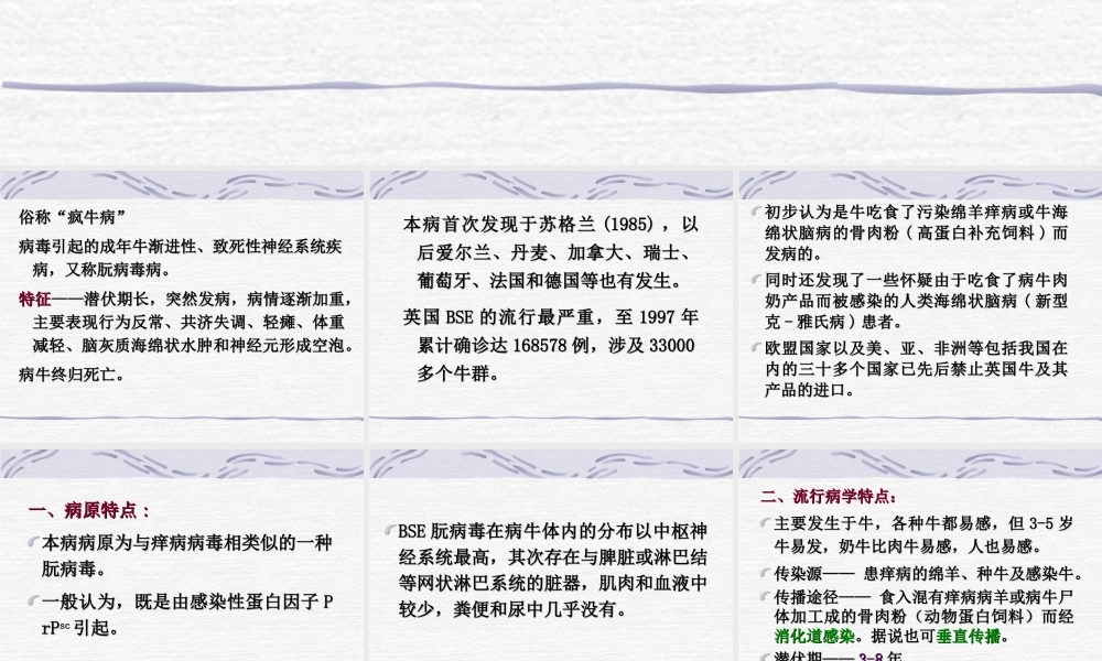 牛海绵状脑病检疫大全.ppt