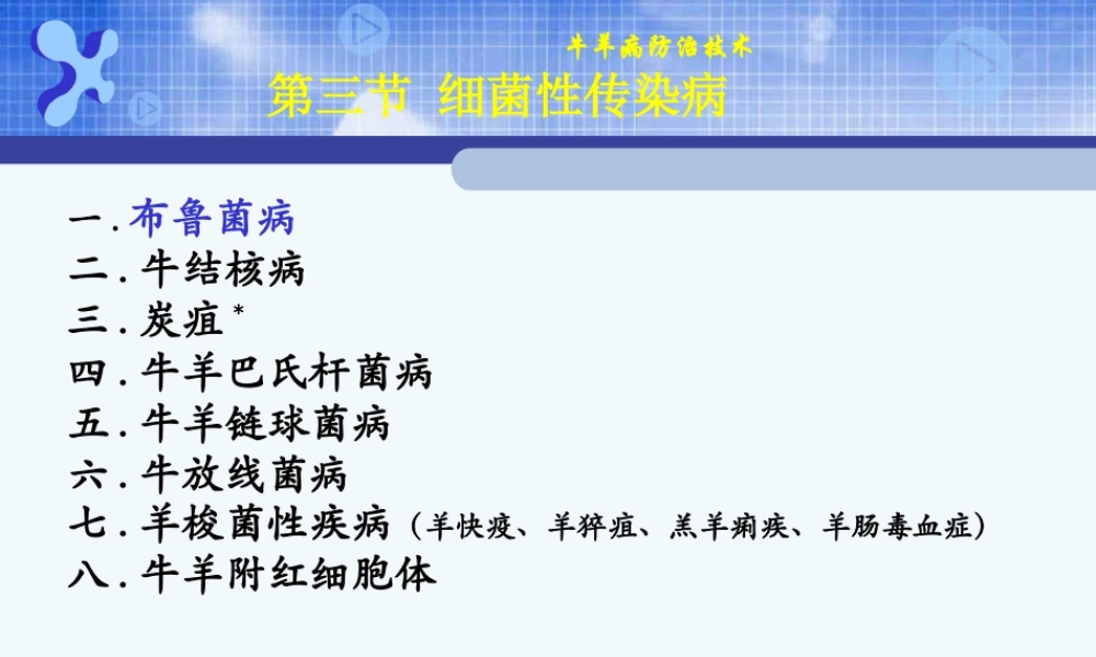 牛羊细菌病-1布鲁菌病.ppt