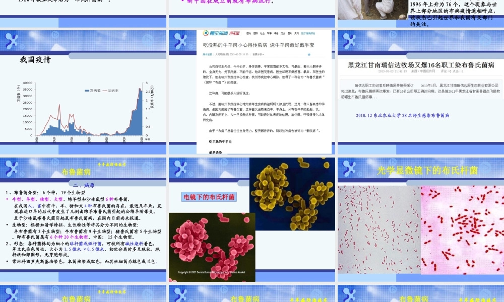 牛羊细菌病-1布鲁菌病.ppt