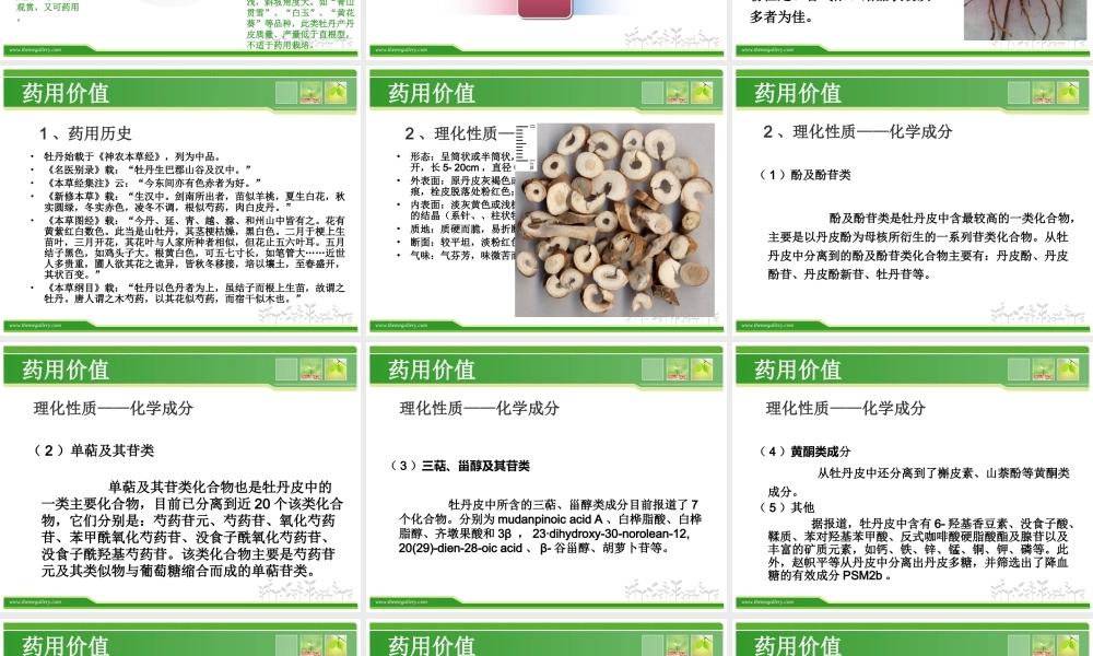 牡丹的药用价值.ppt