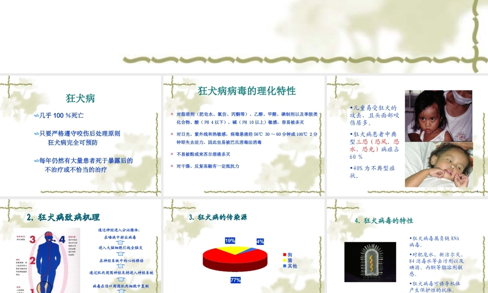 犬伤处置及犬伤门诊规范化建设(讲)讲述资料.ppt