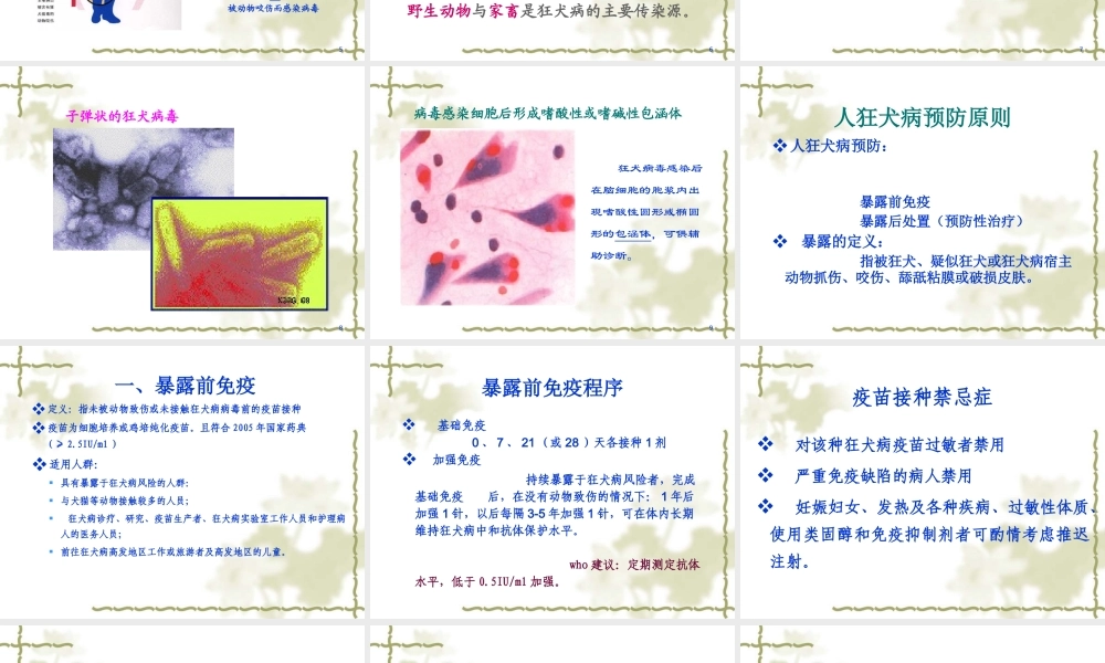 犬伤处置及犬伤门诊规范化建设(讲)资料.ppt