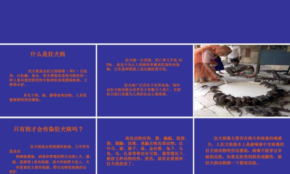 狂-犬-病.ppt