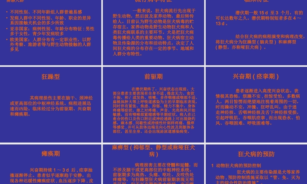 狂-犬-病.ppt