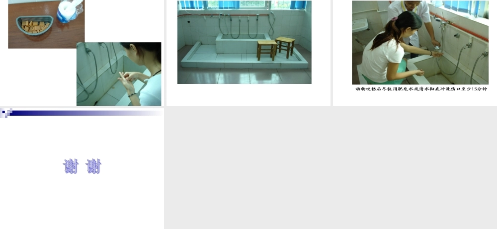 狂犬病处置规范化门诊设置标准及工作要求.ppt