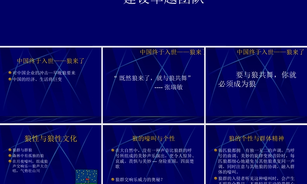 狼性文化与团队精神.ppt