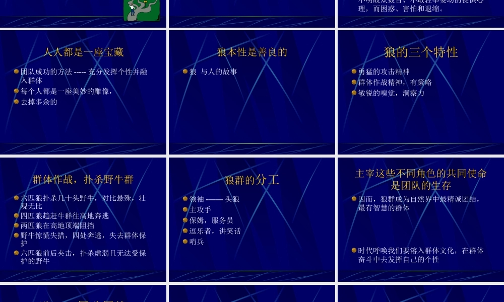狼性文化与团队精神11.ppt