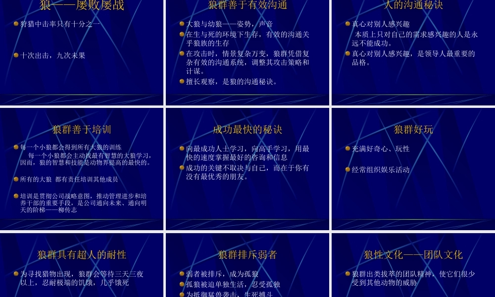 狼性文化与团队精神11.ppt