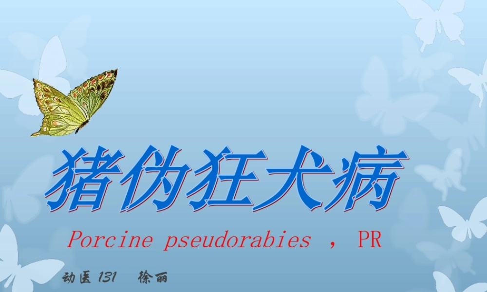 猪伪狂犬病分析.ppt