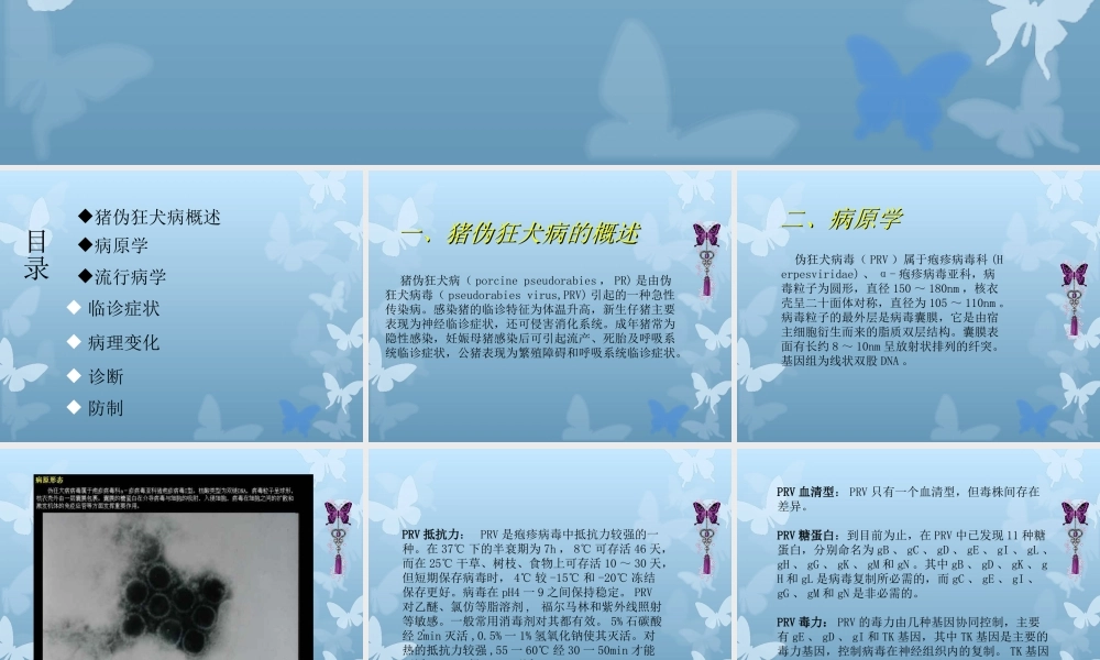 猪伪狂犬病分析.ppt