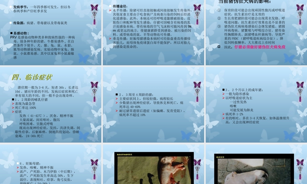 猪伪狂犬病分析.ppt