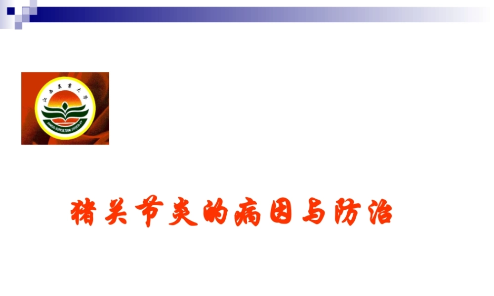 猪关节炎的病因与防治.ppt