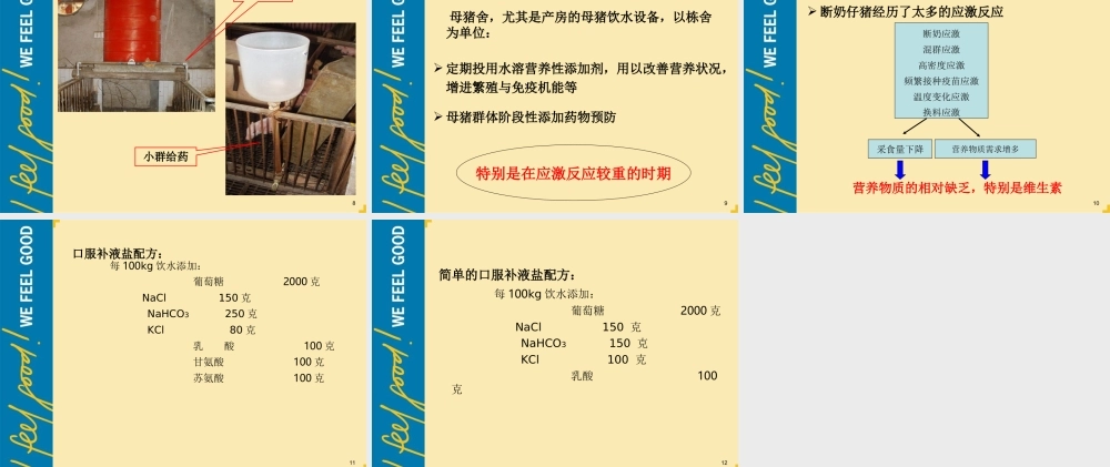 猪场饮水加药系统.ppt