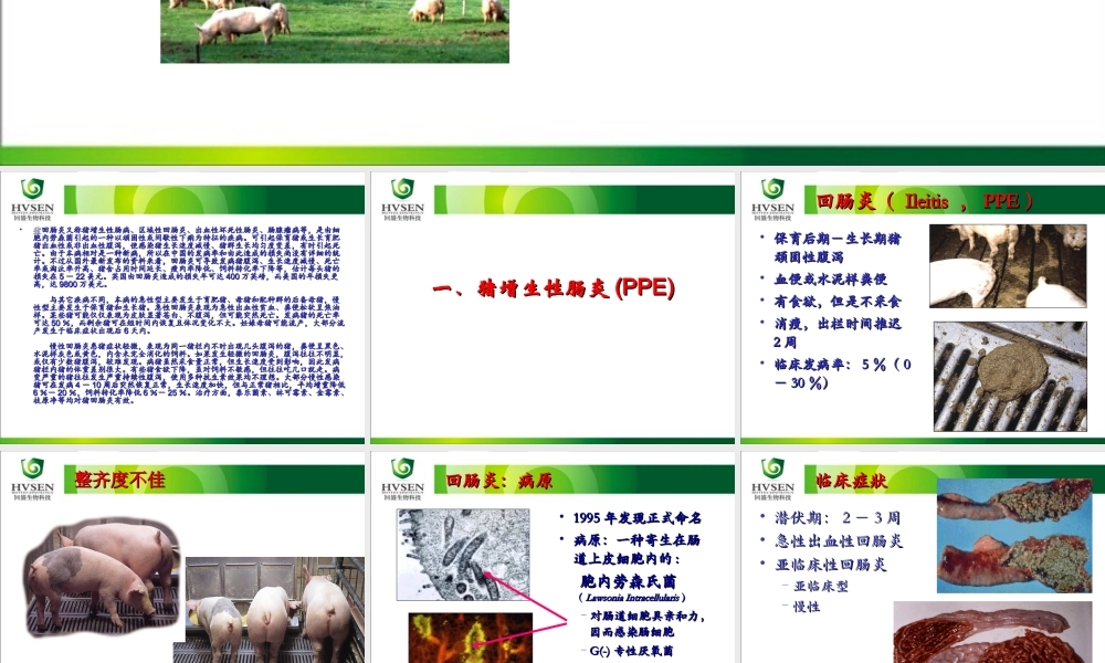 猪增生性肠炎及猪痢疾.ppt