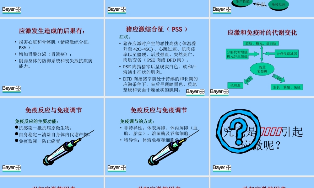 猪的高温应激及营养措施.ppt